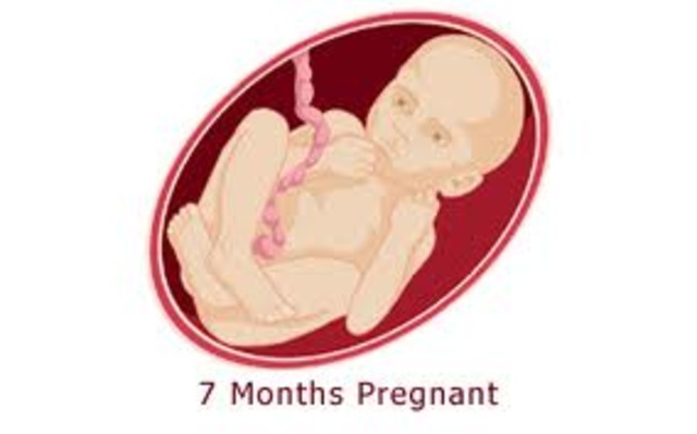 Month - 7 Baby