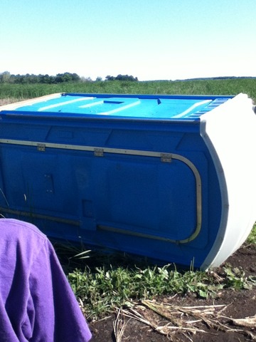 Morning After the Big Storm....