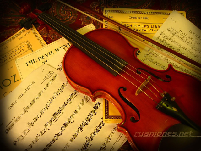 Violin