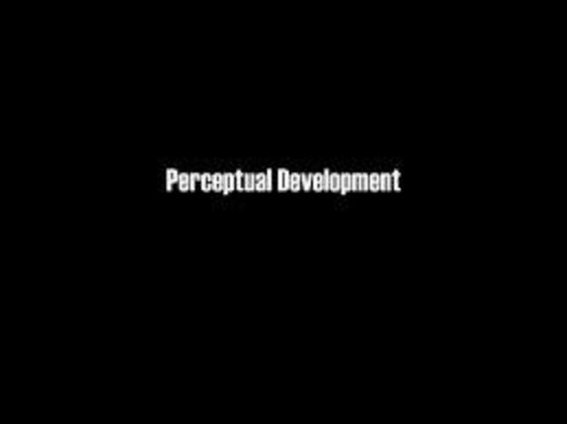 Perceptual Development