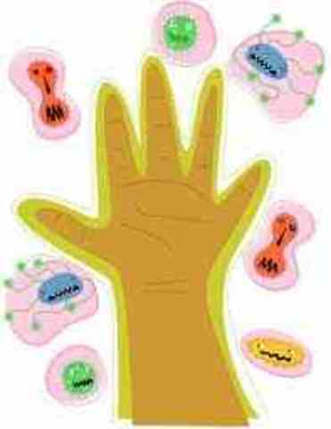 Louis Pasteur Identifies Germs as Cause of Disease