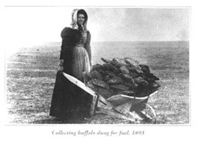 Homestead Act Encourages Independent Women to Move West