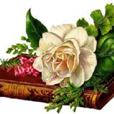 Timeline: Carta Magna