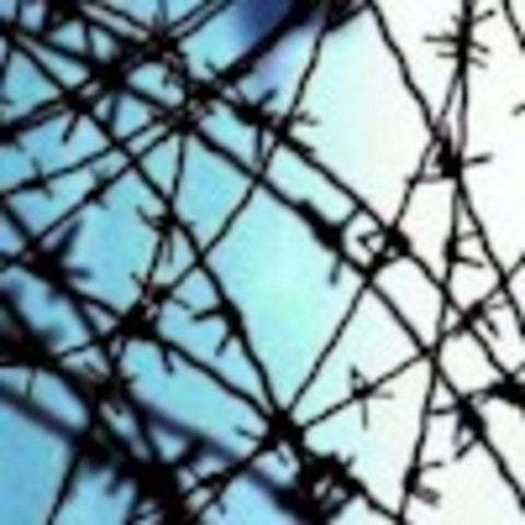 The Barbed Wire Was Invented