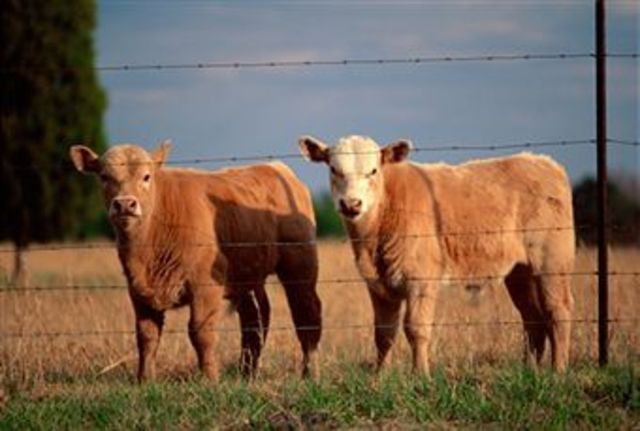 Barbed Wired Invented