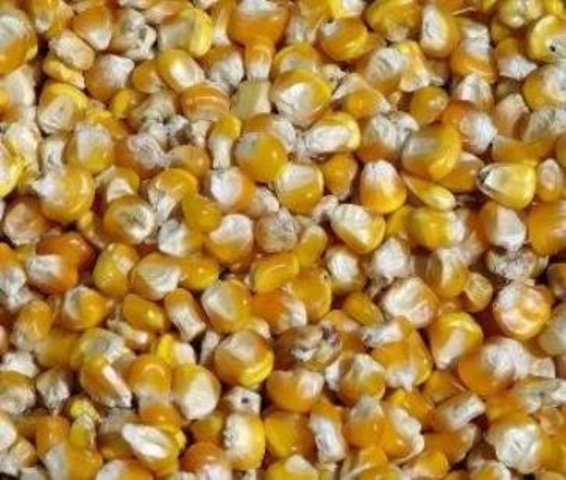 A temporary solution