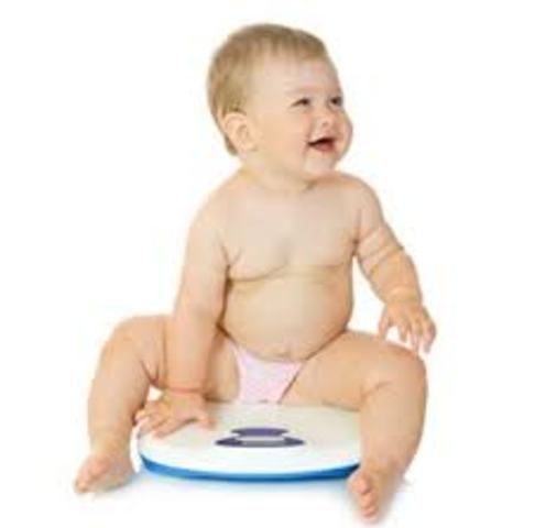 Weight at end of first year and length