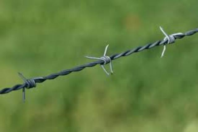 Barbed Wire