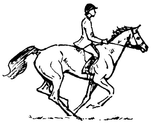 Leland Stanford's bet