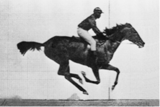 Leland Stanford's Bet