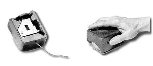 La Creación del Mouse