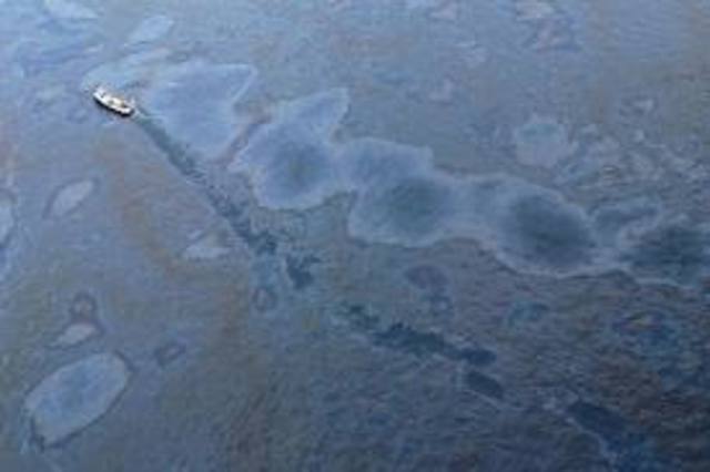 BP Oil Spill