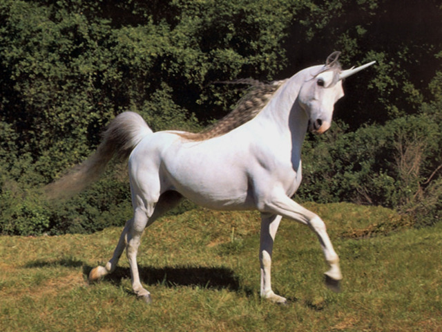 Unicorn Selected as National Animal