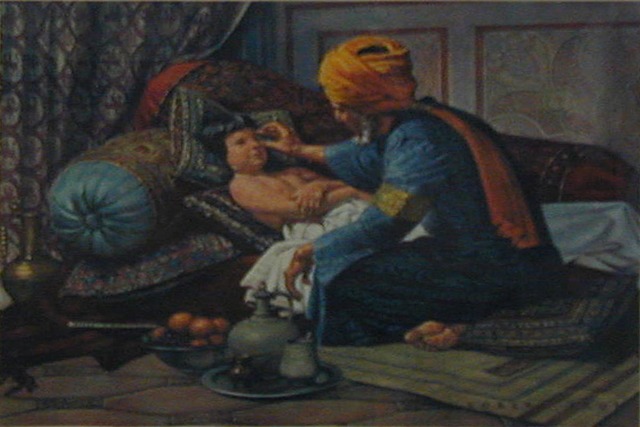 Began using animal gut for suture material