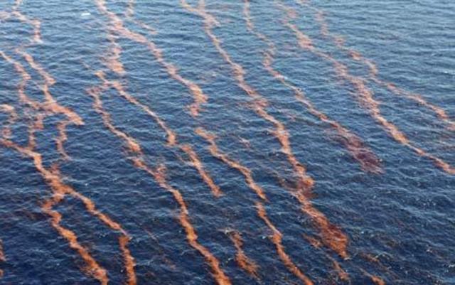 The Louisiana oil spill occurs.
