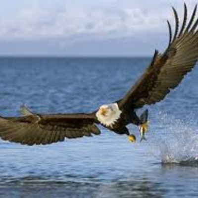 Timeline: Major Events for Early American Government