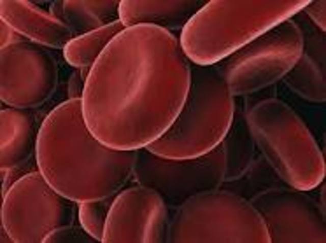 Blood Cells Discovered for the first time