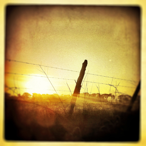 Barbed Wire Invented