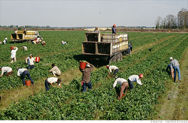Rights of Migrant Workers