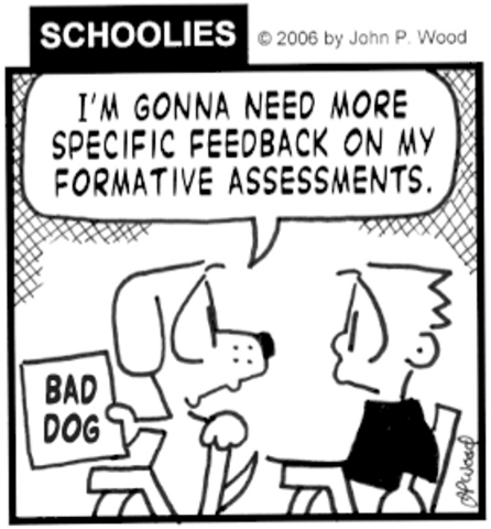 Formative and Summative Evaluations