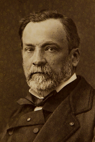 Louis Pasteur, began pasteurizizng milk to kill bacteria