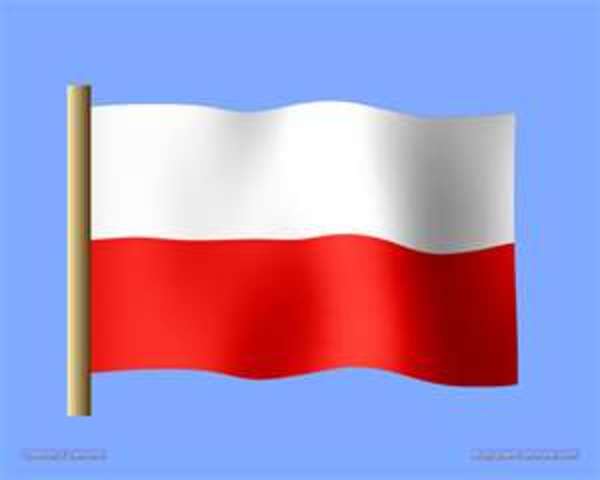 The Polish land in America