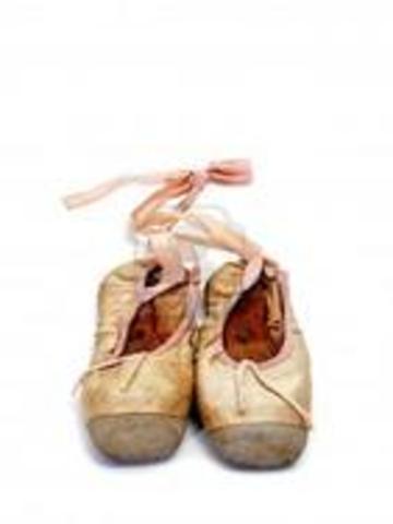 The Ballet PointeShoe