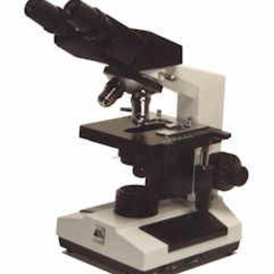 Timeline: History of the Microscope and Cell Theory