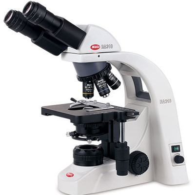 Timeline: History of the Microscope and Cell Theory