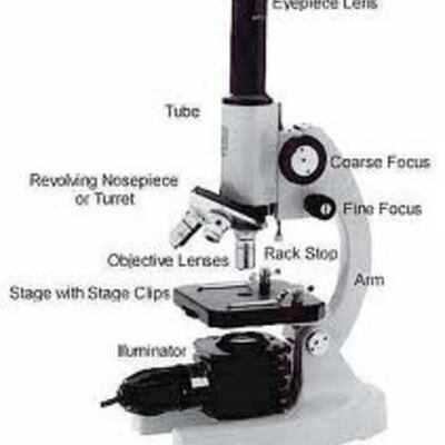 Timeline: Development of a microscope