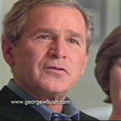 Bush Ads are seen on cable
