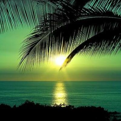 Timeline: Tim Turck's History of the Internet Timeline