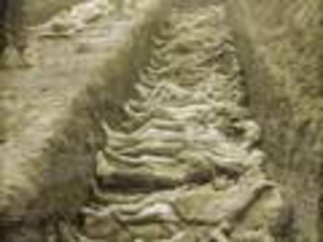 why the jewish came to america