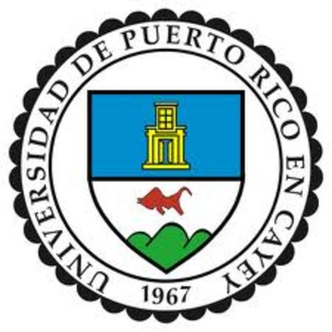 2003-2009 Certified my self as an Elementary English Teacher