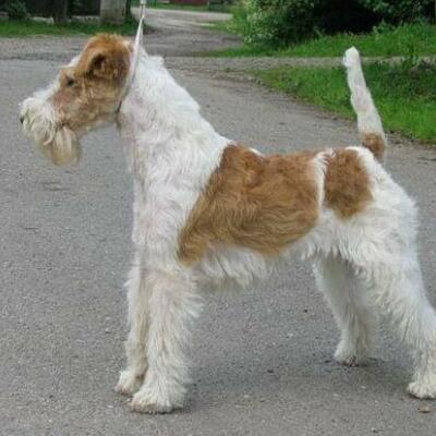 Timeline: About My family and me