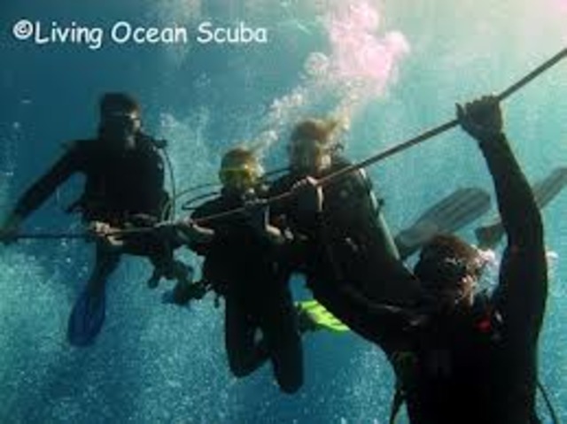 1st time out in the deep