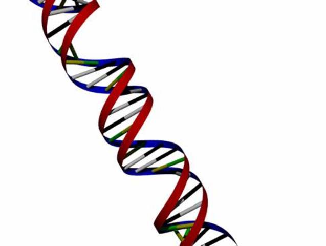 Centro internacional por la epistemología genética