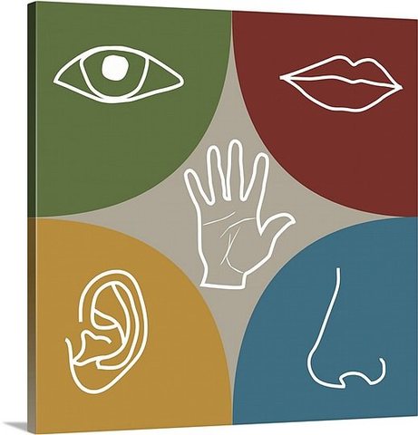 Perceptual Abilities