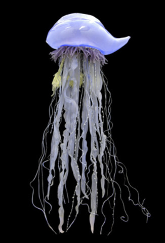 Ordovician 500M- 435 M