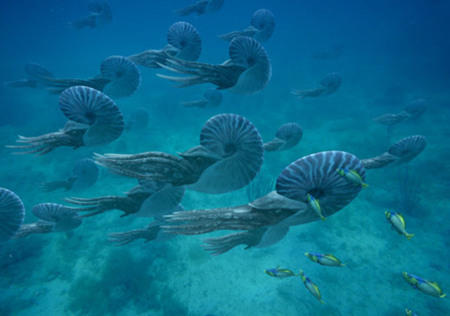 Devonian Period:396-345 MYA