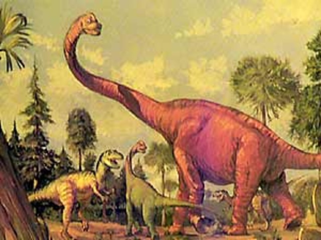 Jurassic Period:195-136 MYA