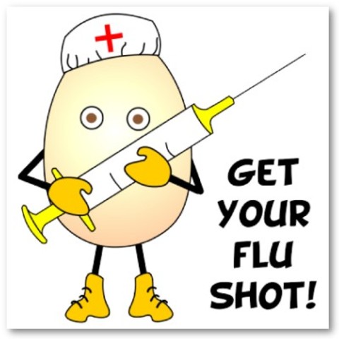 The Development of the Flu Shot