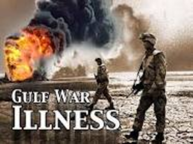Gulf War