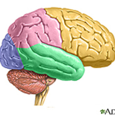Timeline: History of Psychology