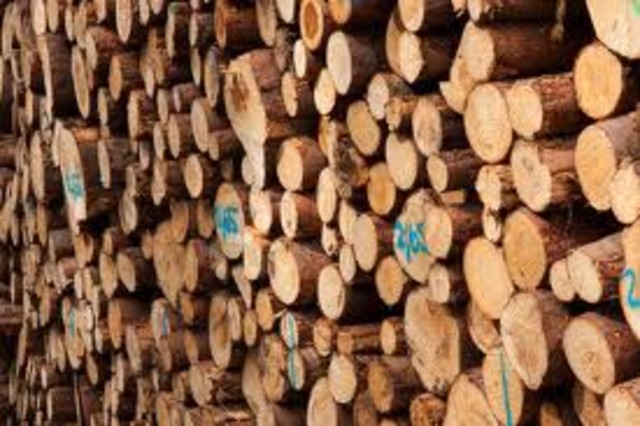 Lumber factory created