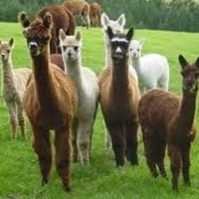 Timeline: Country time line