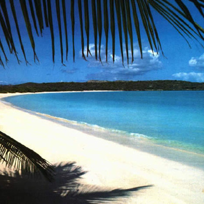 Timeline: My Beautiful Life, Since I was Born