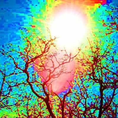 Timeline: contracultura