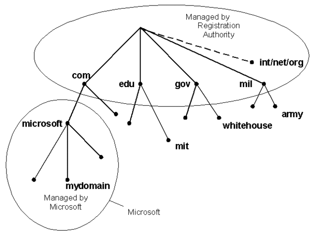 The domain name system was created