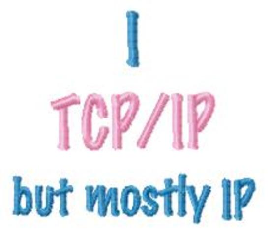 the beginning of TCP/IP
